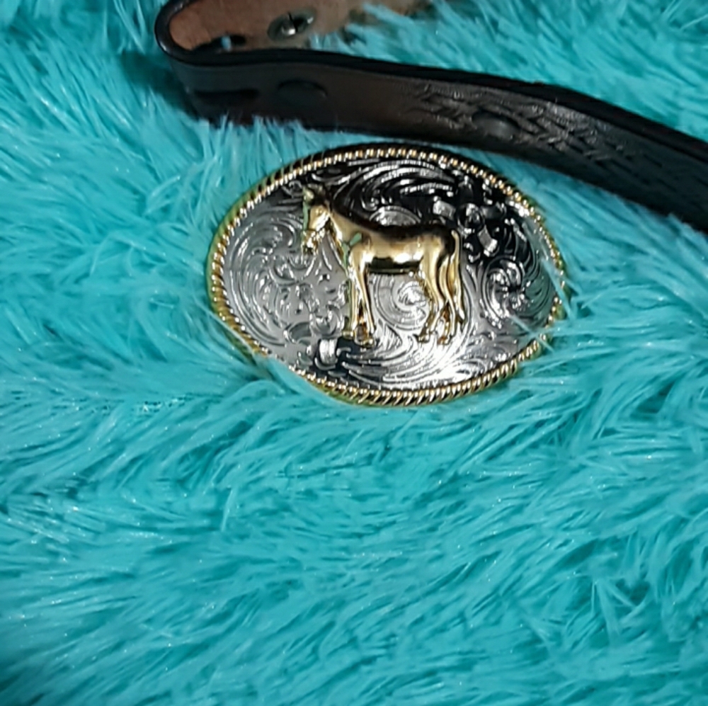 Belt - Picture 2 of 6
